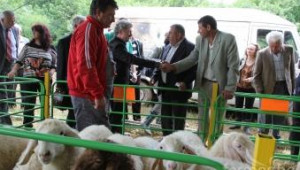 Националният събор на овцевъдите в България започна край Лясковец ( 108 СНИМКИ ) - Agri.bg