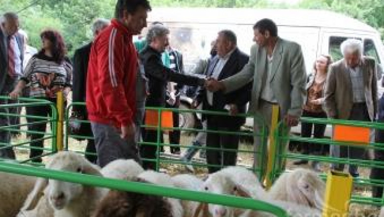 Националният събор на овцевъдите в България започна край Лясковец ( 108 СНИМКИ )