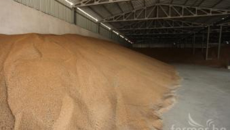Активният износ на пшеница от Русия обърка зърнените пазари в Европа
