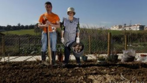 Само 2 семейства пожелаха да обработват земя, която Община Кюстендил дава безплатно - Agri.bg
