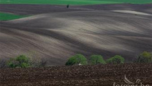 Глобалният глад за земеделски земи се задълбочава - Agri.bg