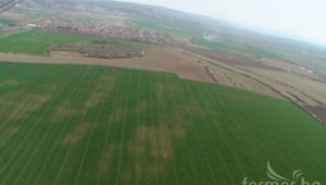 Община Видин ще дава земеделски земи под наем без търг - Agri.bg