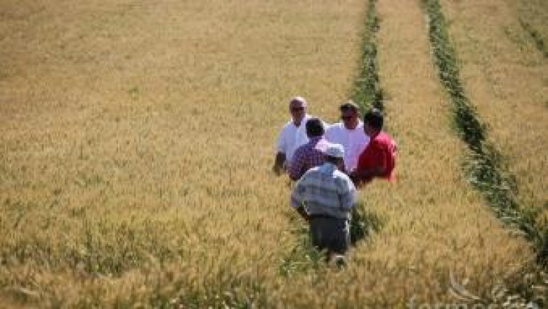 Любомир Маринов, НССЗ: Консултирахме безплатно 20 000 фермери през 2012 г.