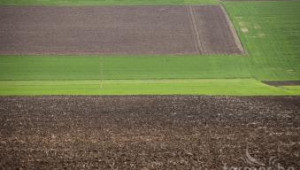 Субсидии за фермерите със застъпвания ще има в края на април - Agri.bg