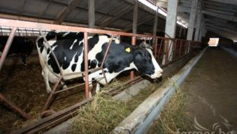 България трябва да гарантира бюджет по мярка 121 за модернизация на фермите