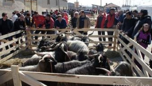 Пролетен празник на животновъдството и земеделието ще се проведе в Кресна на 6-ти април - Agri.bg