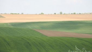 ЕК предлага 5% орязване на субсидиите за 2013 г. за най-големите фермери - Agri.bg