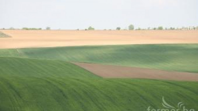 ЕК предлага 5% орязване на субсидиите за 2013 г. за най-големите фермери