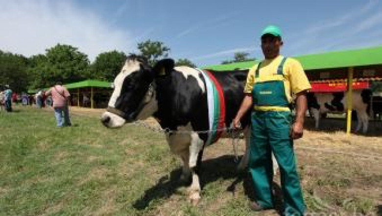 ЕК одобри схеми за държавни помощи за участия в животновъдни изложения