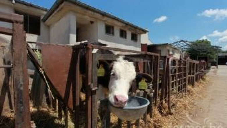 Семинар за животновъдството се провежда днес в Дряново