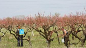 Семинар по растителна защита на овошките ще се проведе в Кюстендил - Agri.bg