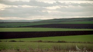 Готов е окончателният слой Площи в добро земеделско състояние за Кампания 2012 - Agri.bg