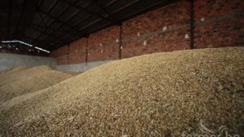 Очакват се високи цени на зърното заради лоши прогнози за реколтата в Русия