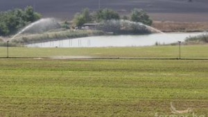 Фермери се насочват към отглеждане на по-сухоустойчиви култури - Agri.bg