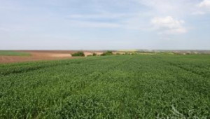 Земеделските министри на ЕС обсъдиха завишеното подпомагане за т.нар. първи хектари - Agri.bg