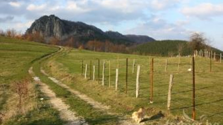 Община Момчилград предлага помощ за започване на земеделско производство
