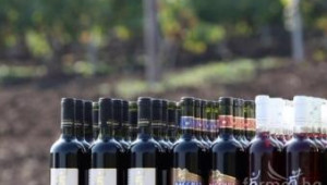 Нараства износът на българско вино - Agri.bg
