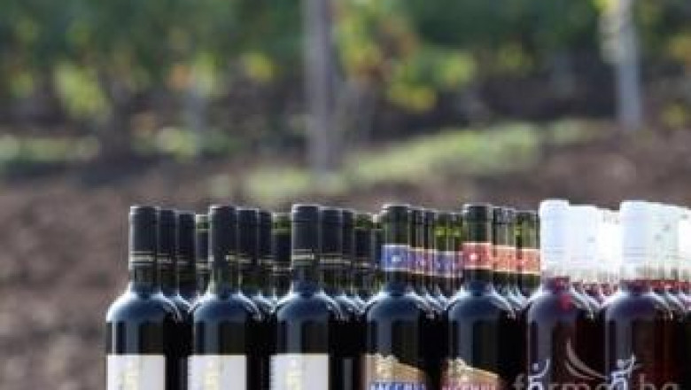 Резултат с изображение за „българско вино износ“