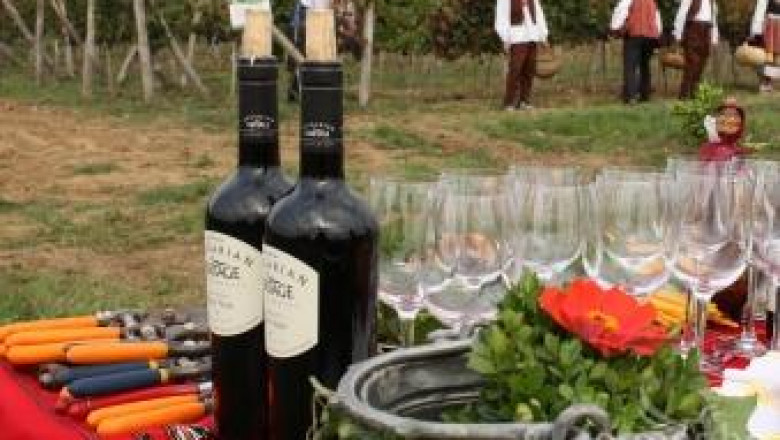 Днес е Трифон Зарезан – празник на лозарите и винарите!