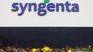 Syngenta прогнозира поредна рекордна година по продажби - Agri.bg