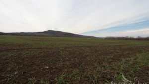Божидар Данев предлага държавна земя да може да се дава под аренда - Agri.bg