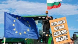 НАЗ: Заявиха изплащане на субсидиите на 2 транша от 15-и март - Agri.bg