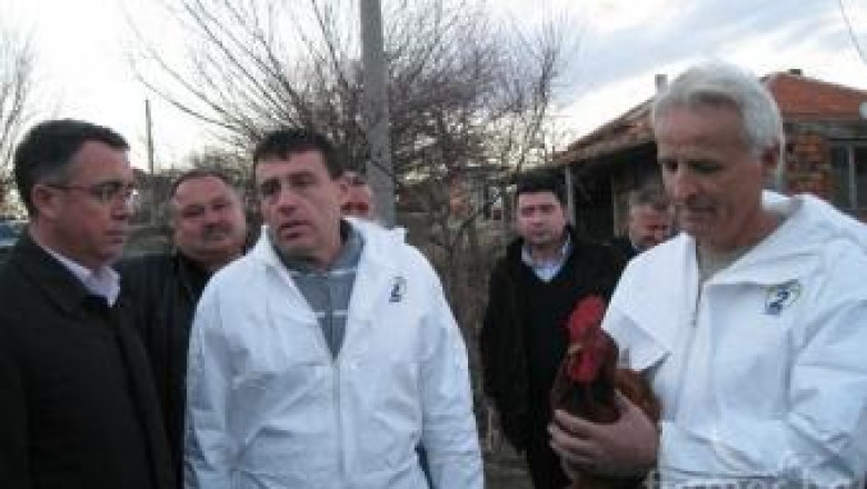 Кметът на Кърджали осигури техника за погребване на заразените птици в Звиница