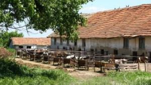 Уточнение за броя на животновъдните ферми - Agri.bg