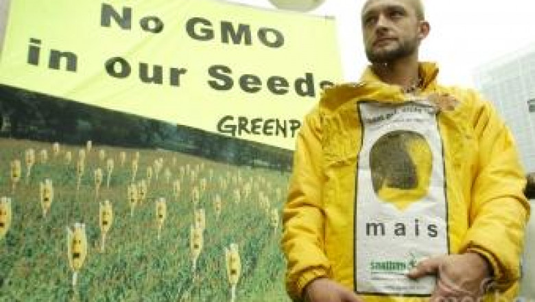 Грийнпийс иска обществен достъп до всички ГМО, представени за одобрение от ЕС