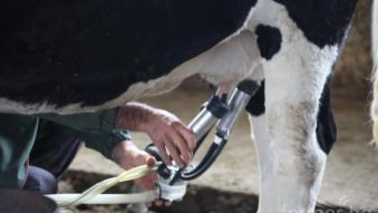Йордан Войнов: Изтича дерогацията за качество на млякото
