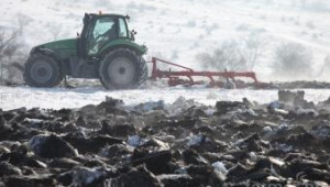 Още 15% ръст в цената на земеделската земя се очаква през 2013-а година - Agri.bg