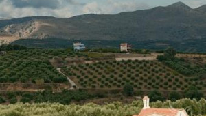 На Коледа гръцката Църква обяви, че ще раздаде земи на желаещите да бъдат фермери - Agri.bg
