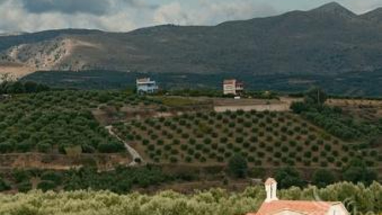 На Коледа гръцката Църква обяви, че ще раздаде земи на желаещите да бъдат фермери
