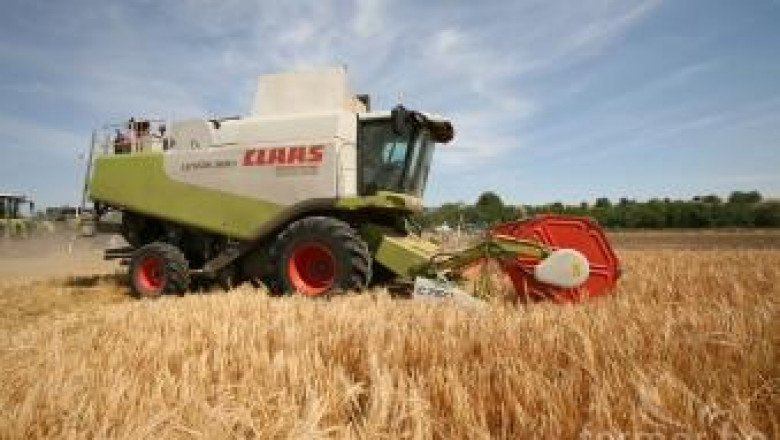 Спада производството на пшеница в света – цените продължават да растат