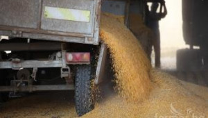 ГМО отново на дневен ред – организации искат вето на Закона за фуражите - Agri.bg