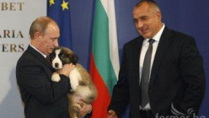 Овчарското куче на Бойко Борисов стана Световен шампион - Agri.bg