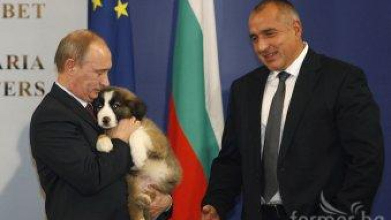 Овчарското куче на Бойко Борисов стана Световен шампион