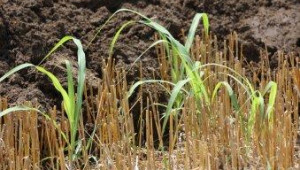 Електронен атлас на почвите ще подпомага фермерите в борбата със сушата - Agri.bg