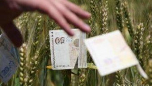 МЗХ и браншовици ще обсъдят мерки за предотвратяване на злоупотреби със субсидии - Agri.bg