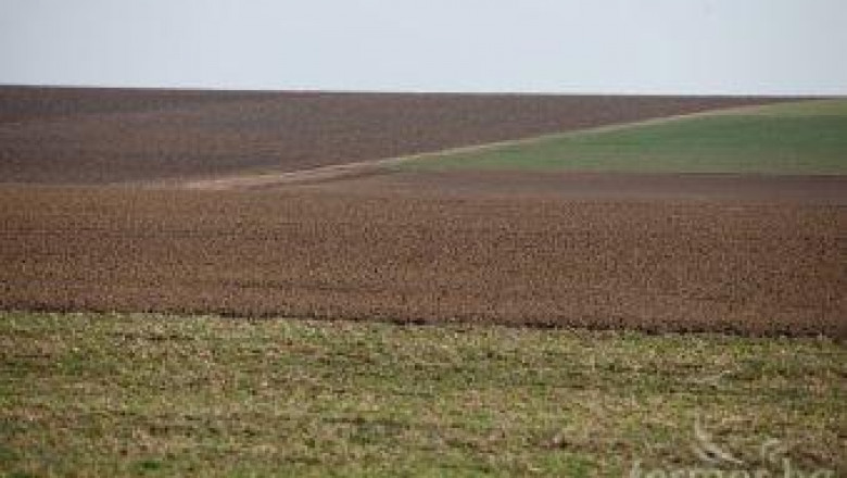 Обединени земеделци ще обсъдят на форум проблемите на българското земеделие
