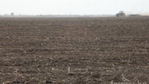 Кризата със сушата  удари най-силно фермерите в Южна България - Agri.bg