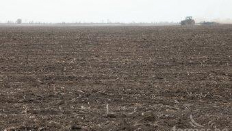 Кризата със сушата  удари най-силно фермерите в Южна България