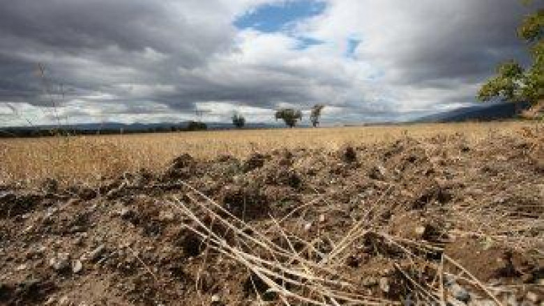 АЗПБ: Държавата изоставя зърнопроизводството в труден момент