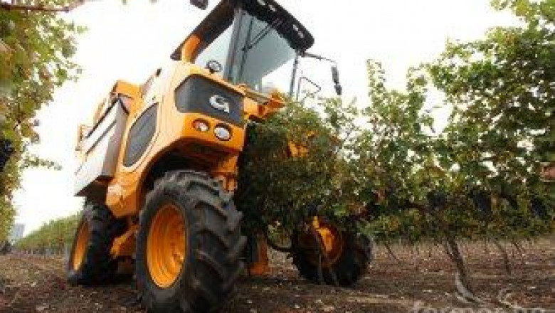 Експерти от ЕС предвиждат най-слабата реколта от грозде в Европа тази година