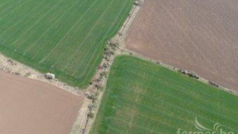 Румъния въвежда ограничения за купуване на земеделски земи от чужденци 