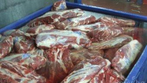 БАБХ затвори завод за месо в Силистра заради 4,2т. агнешко, телешко и свинско от 2009-а - Agri.bg