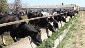 Станаха ясни очакваните суми за подпомагане на животновъдите за  2012 г. - Agri.bg