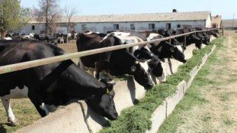 Станаха ясни очакваните суми за подпомагане на животновъдите за  2012 г.
