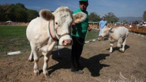 Много фермери и рекорден брой животни на Изложението в Сливен ( снимки ) - Agri.bg