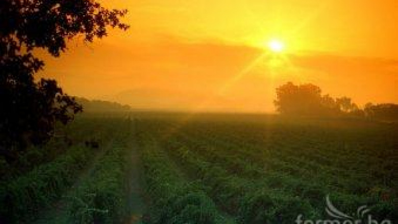 ПП Обединени земеделци ще даде пресконференция във Велико Търново
